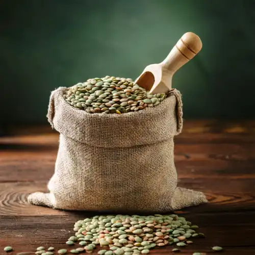 Lentilles vertes BIO